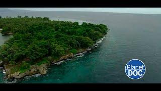 Culture and way of life of the Warriors of the Sea: they live in Papua New Guinea (FULL DOCUMENTARY)