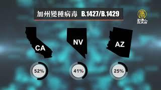 變種病毒爆發 全美21州感染者數量回升