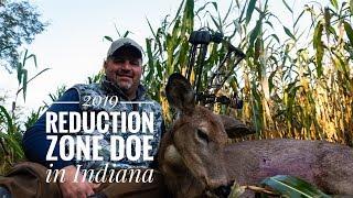 2019 Reduction Zone Doe - Bowhunting Indiana with Derek Craig