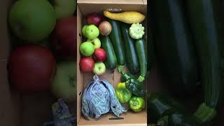 Take a look at what we are packing in this weeks CSA! Lots of summer produce till the first freeze!