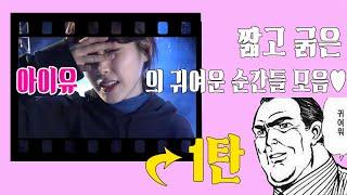 짧고 굵은 아이유의 귀여운 순간들 모음