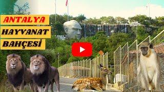 Antalya Hayvanat Bahçesi Ve Doğa Parkı - 4K - ANTALYA ZOO - TURKEY