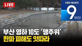 [LIVE] KBS 뉴스9 부산 - 2025.01.10(금)