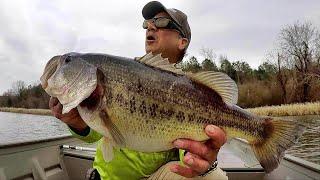 LOADS OF BIG BASS!!! Tips For Catching BIGGER FISH!