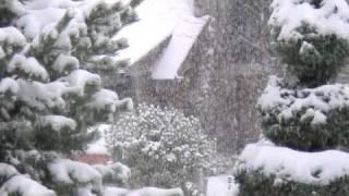 Watch Snow Fall In Quiet Neighborhood