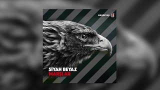 Erkan Korkmaz, Birol Can, Stefo Seyisoğlu - Bir Gün Değil Her Gün Beşiktaş - Official Audio