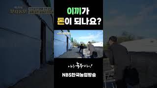 이끼가 돈이 되나요?