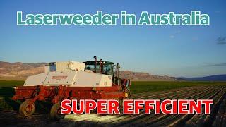 Laser weeding 800.000 weeds in 5 hours!