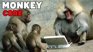 FUNNY MONKEY VIDEOS  | TRY NOT TO LAUGH|(DON'T  MISS)