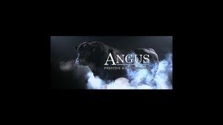 Abn Angus