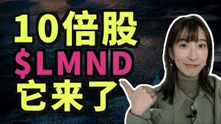 Lemonade 会成为下一个10倍股吗？其实有时候投资就是这么简单...Will $LMND become the next 10X stock?