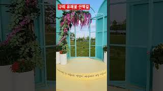 서울근교 나들이코스 환상적인 풍경