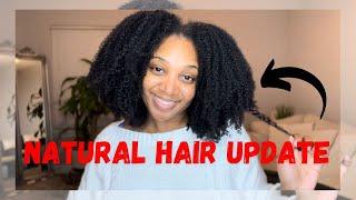 NATURAL HAIR UPDATE | NATURAL HAIR GROWTH + NEW HAIR PRODUCTS