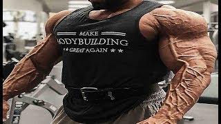 LONE WOLF - BODYBUILDING MOTIVATION