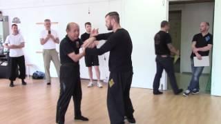 Sifu Lo Man Kam teachs movements and appilcations of the Cham Kiu - Wädenswil 2016