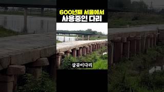 600년째 서울에서 사용중인 다리