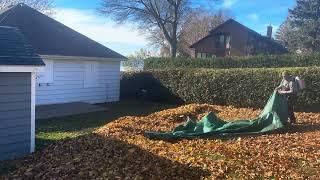 Satisfying fall yard clean up’s 2024