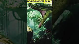 World Biggest Snake fact video #shorts ##shortsvideo #facts #ytshorts