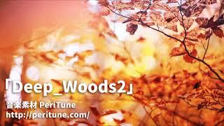 【無料フリーBGM】淋しげなフォーク曲「Deep_Woods2」