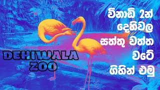 Dehiwala Zoo - Sri Lanka විනාඩි 2න් සත්තු වත්ත වටේ ගිහින් එමු #travelinza 