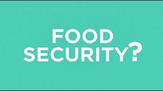 What is food security?