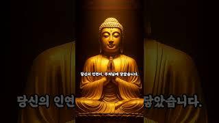 지금 당신은 부처님의 선택을 받았습니다. 큰 행운을 담은 댓글을 적어 보세요. 불경 염원 108일 챌린지 12일차 #명언 #무설스님 #지혜