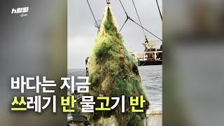 지금 바다에선 물고기 대신 쓰레기가 올라온다고? | 트래시 TRASEA [h알파 다이브]