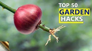 MY TOP 50 SECRET GARDENING IDEAS & HACKS FOR BEGINNERS AND EXPERTS | GARDEN SECRETS