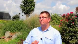 How to Design a Backyard & Hill : Designed Landscapes