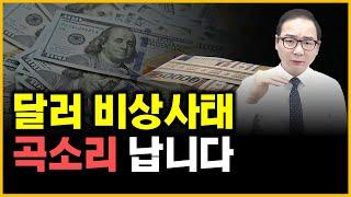 달러 비상사태 - 곡소리 납니다