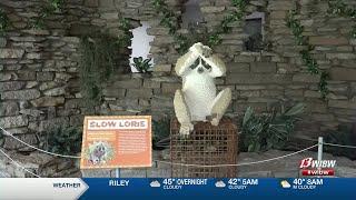 ‘Sean Kenny’s Animal Superpowers made with Lego Bricks’ coming to the Topeka Zoo