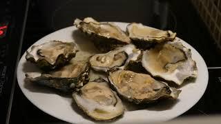 Oysters 4K Video for leax How to open Oysters Futages