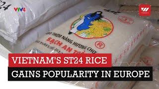 Vietnam’s ST24 rice gains popularity in Europe | VTV World