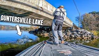 Fishing Bridges & Grass on Legendary Lake Guntersville!