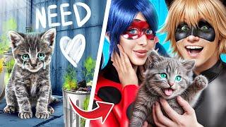 Kucing Diadopsi oleh Ladybug! Trik Rahasia untuk Pemilik Hewan Peliharaan!