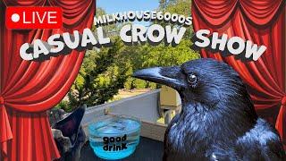 casual crow show no.5!!