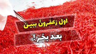 خرید زعفران قاینات از کشاورز با بهترین قیمت Buy iran saffron from the farmer at the best price