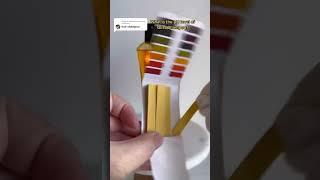 Testing the pH Level of Gliss Shampoo #gliss #shampoos #phlevel #phtest