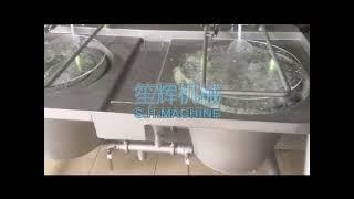 New style bubble cabbage cleaning machine ozone lettuce washing machine salad cleaner