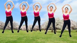 exercise daily routine, twist waist, fat burning, slim waist, reduce belly fat/lovely dance fit