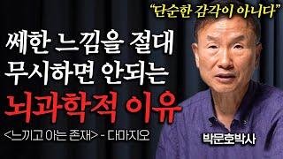 '쎄하다'라는 감각이 중요한 뇌과학적 이유 (박문호 박사 2부)