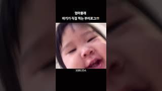 최연소 브이로거의 등장 #14개월아기 #아기브이로그 #귀여운아기 #브이로그 #아기 #cutebaby