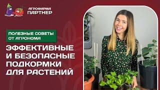 КАКИЕ ПОДКОРМКИ ИСПОЛЬЗОВАТЬ ДЛЯ РАСТЕНИЙ В ЗИМНЕМ ОГОРОДЕ ДЛЯ ПОЛУЧЕНИЯ ХОРОШЕГО УРОЖАЯ