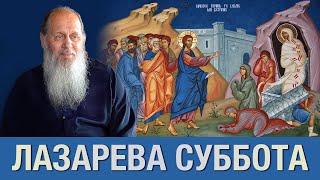 Лазарева Суббота. Вход Господень в Иерусалим. О. Владимир Головин.