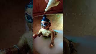 sokal sokal gopu sona r sanu . dorshon koro sobay.. hare Krishna...