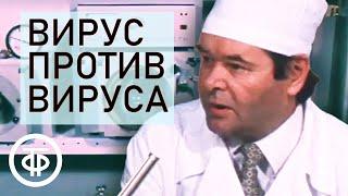 Создание вакцины от гриппа. Вирус против вируса. Время. Эфир 06.05.1979