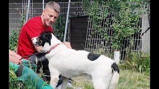 Jagdhund-Mix: Paul | Champions suchen ein Zuhause! | Tierheim Berlin