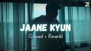 Tanveer Evan - Jaane Kyun (Slowed + Reverb) | Mennu Bhool Na Jaave | Zesan Rahaman