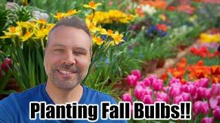 How to Plant Fall (Spring Flowering) Bulbs // Daffodils, Tulips, Muscari