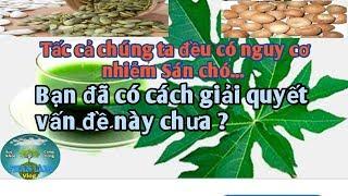 Tấc cả chúng ta đều có nguy cơ nhiễm Sán chó, vậy bạn có cách giải quyết chưa?